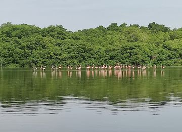 trinidad-and-tobago/caroni/attraction/caroni-swamp-visitor-centre