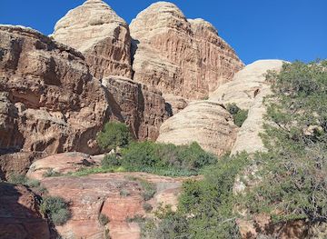 jordan/dana/attraction/dana-rose-tours-online-only