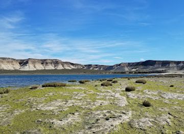 argentina/southern-patagonia/attraction/golfo-nuevo
