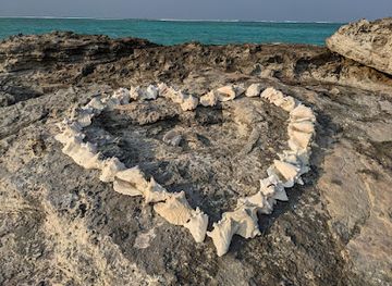 turks-and-caicos-islands/parrot-cay/attraction/molar-rock-aka-rick-s-rock