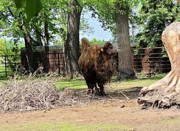 south-dakota/watertown/attraction/bramble-park-zoo