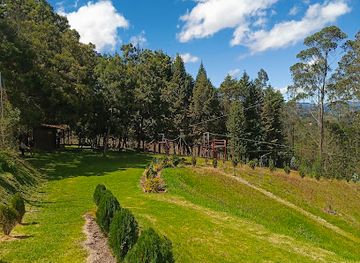 ecuador/morona-santiago-region/attraction/cuenca-canopy