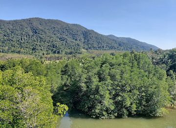 thailand/koh-chang/attraction/salak-khok-mangrove-forest