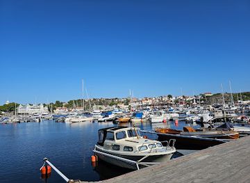 sweden/kosterhavet-national-park/attraction/street-artist-thomas-turner