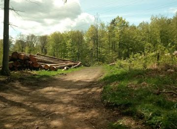 belgium/arlon/attraction/freylange-woods