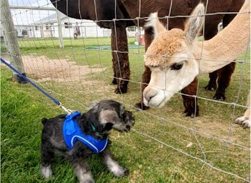 oregon/wallowa-lake/attraction/wallowa-lake-state-park-e-loop