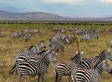 tanzania/ngorongoro-highlands/attraction/nakuja-expeditions-limited-luxury-african-safaris