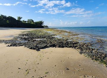 tanzania/zanzibar-island/attraction/selem-beach