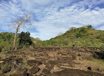 sri-lanka/sigiriya/attraction/minneriya-national-park