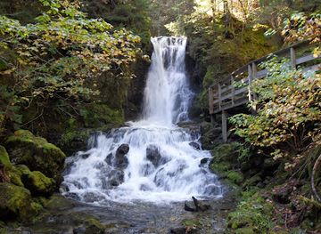 canada/fundy-national-park/attraction/dickson-falls