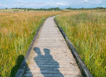 ireland/county-kildare/attraction/pollardstown-fen-view