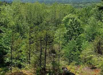 massachusetts/mohawk-trail-state-forest/attraction/pelham-lake-park-recreation-area-davis-mine-loop