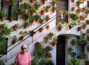 spain/cordoba/san-basilio/attraction/casa-patio-san-basilio-14