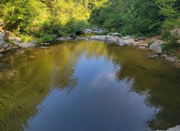 alabama/alabama-coastal-birding-trail/attraction/talladega-national-forest