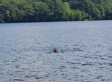 new-hampshire/monadnock-region/attraction/shattuck-public-beach