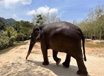 thailand/phuket/attraction/green-elephant-sanctuary-park
