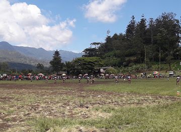 papua-new-guinea/central-highlands/attraction/goroka-main-market