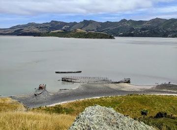 new-zealand/christchurch/attraction/quail-island-recreation-reserve