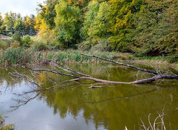 austria/wachau/attraction/ruhrsdorfer-see