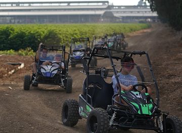 israel/nahariya/attraction/bagi-kids
