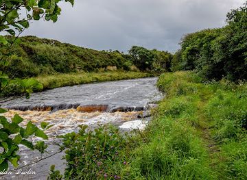 ireland/county-sligo/attraction/duff-river-walk