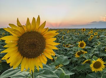 missouri/northwest-missouri/attraction/columbia-bottom-conservation-area