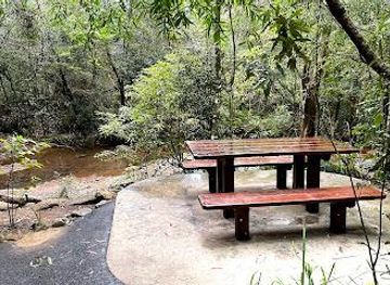 australia/gold-coast/attraction/goomoolahra-picnic-area