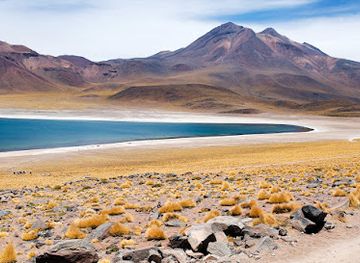 chile/antofagasta/attraction/lagunas-miscanti-y-miniques