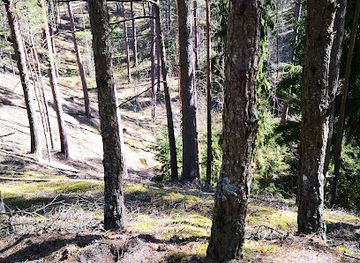 latvia/abava-river-valley/attraction/abava-valley