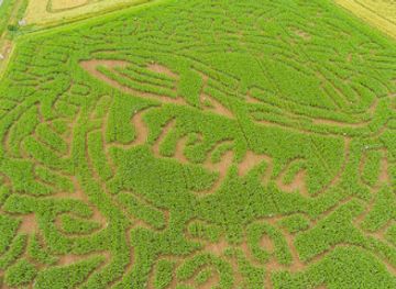 poland/kociewie/attraction/labirynt-stegna-park