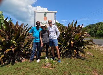 the-bahamas/harbour-island/attraction/eleuthera-pineapple-farm-tours