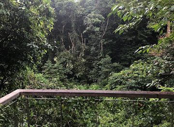 singapore/bukit-timah-nature-reserve/attraction/wallace-trail