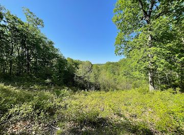 indiana/yellowwood-state-forest/attraction/trail-8-brown-county-state-park