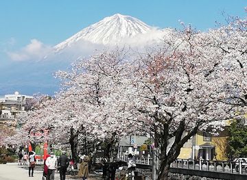 japan/mount-fuji/attraction/wakutamaike