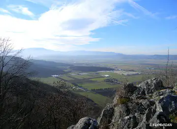 Coltii Corbului Mare