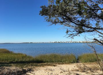 delaware/the-coastal-plain/attraction/delaware-seashore-state-park