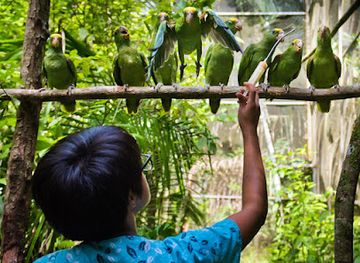 belize/crooked-tree-wildlife-sanctuary/attraction/belize-bird-rescue