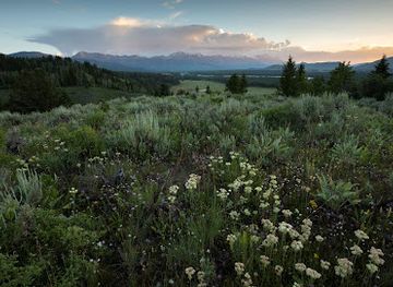 wyoming/jackson-hole/attraction/jackson-hole-land-trust