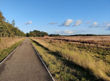 netherlands/gelderland/attraction/ginkel-heath