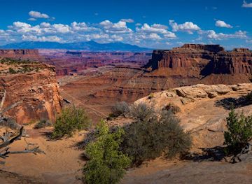 utah/canyonlands/attraction/shafer-trail-viewpoint