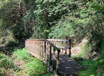 virginia/mount-rogers-national-recreation-area/attraction/riverbend-park