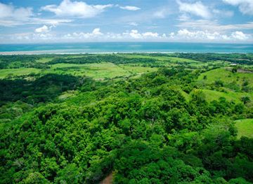 costa-rica/central-pacific/attraction/the-park-at-ocean-ranch