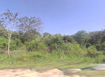 sri-lanka/wilpattu-national-park/attraction/panweliyaya-wewa