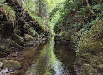 ireland/glendalough/attraction/knocksink-wood