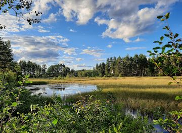 sweden/dalarna/attraction/sanders-gammelskog