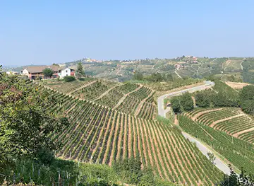 Altalena gigante