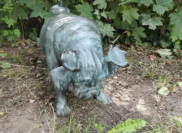 Waldmops (Paar) im Humboldthain