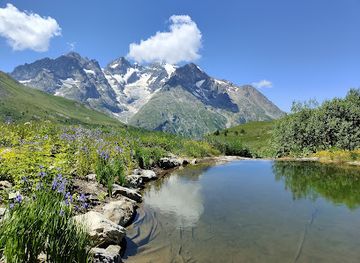 france/ecrins-national-park/attraction/gallery-alpe-alpine-botanical-garden-lautaret