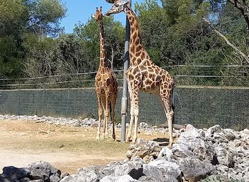 france/montpellier/attraction/montpellier-zoological-park