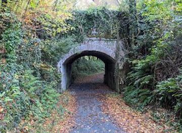 ireland/galway/attraction/clonbur-wood
